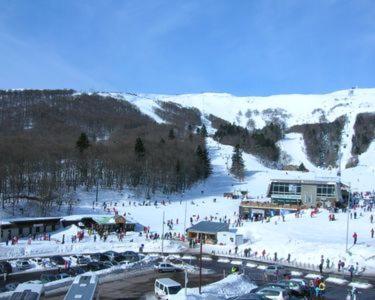 Les Myrtilles A Au Pied Des Pistes Super Besse